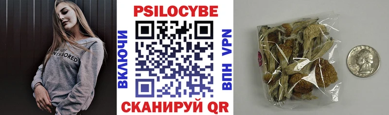 купить закладку  Карачаевск  omg как зайти  Псилоцибиновые грибы GOLDEN TEACHER 