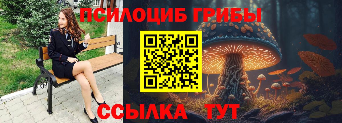 Псилоцибиновые грибы GOLDEN TEACHER  магазин продажи наркотиков  Карачаевск  Псилоцибиновые грибы GOLDEN TEACHER  Вход с VPN 